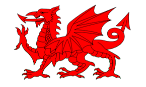 Welsh Flag
