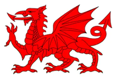 Welsh Flag